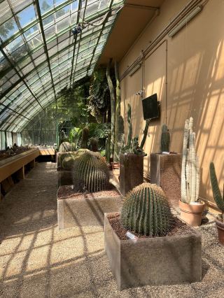 Small but Charming Botanical Spot