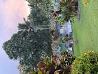 Amazing Women’s Retreat Experience at Bali Palms
