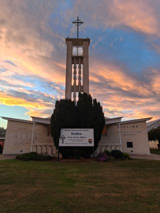 Serene Drives in the South Island: From Timaru to Invercargill