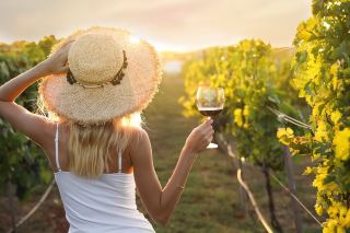 Living in a mountain village on Barolo and waking up to the aroma of truffles every day—what a blissful life!