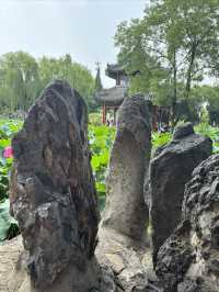 保定古蓮花池賞荷攻略