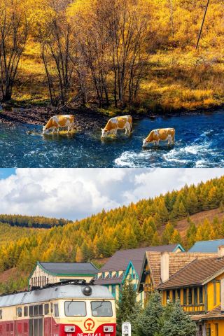 Beautiful for only 20 days a year, this is the true northernmost autumn in China!