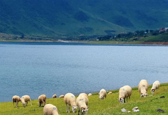 Yele Lake in Mianning: A healing hidden gem