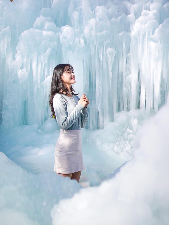 엘사가 얼리고 간 대전 겨울왕국! 