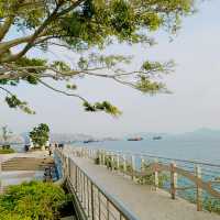 屯門海濱花園到屯門碼頭，散步，遛達，閒逛一流！