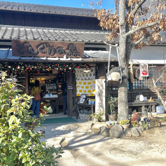 토토로 마을 구경하기 "동구리노모리"😺