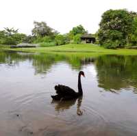 Discovering the Beauty of Nature