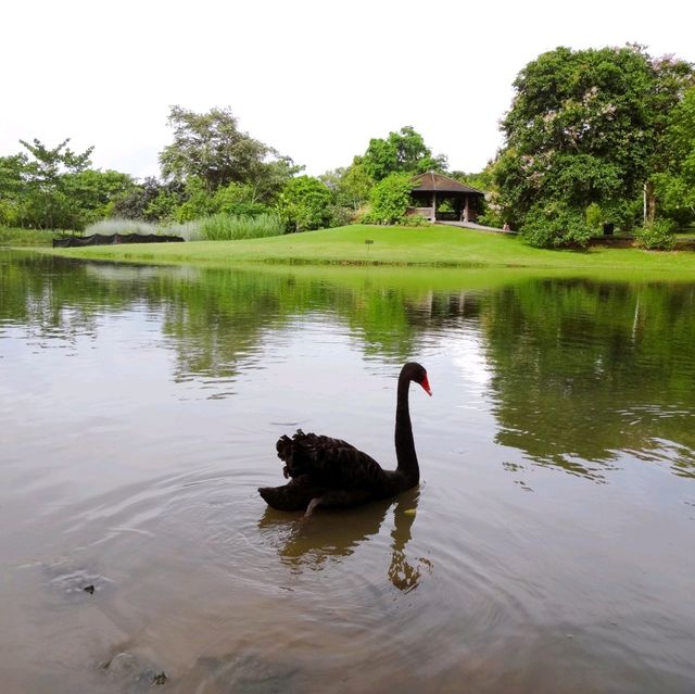 Discovering the Beauty of Nature