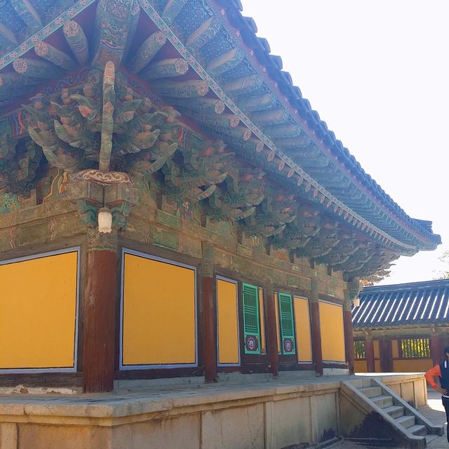 수학여행으로 간 불국사보다 더 좋아~ 혼자여행 경주여행 코스 불국사