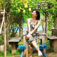 พสุธารา สวนเลมอนใกล้กรุง