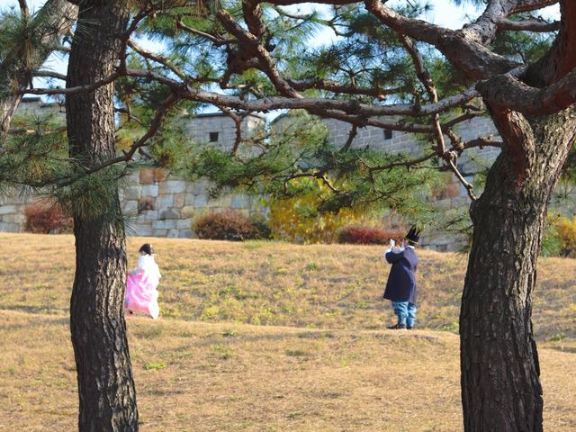 🇰🇷 언제가도 멋스러운 수원 “수원화성”