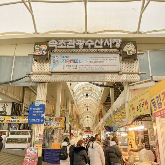 뚜벅이도 전혀 어렵지 않고 알차게 다닐 수 있는 속초 가볼만한곳 zip.