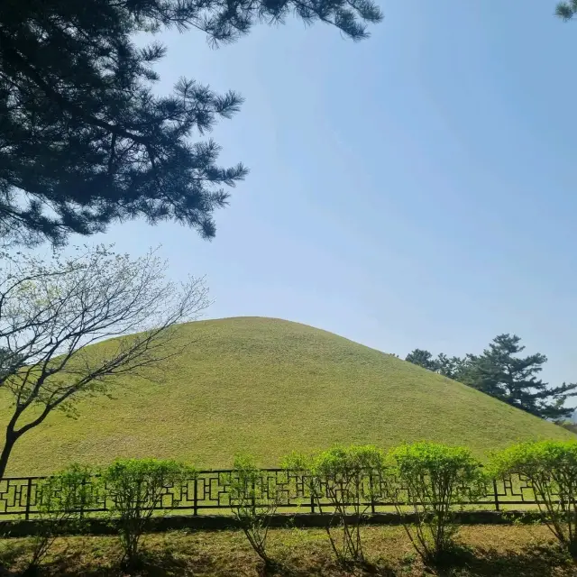 포토존이 예쁜  경주 대릉원