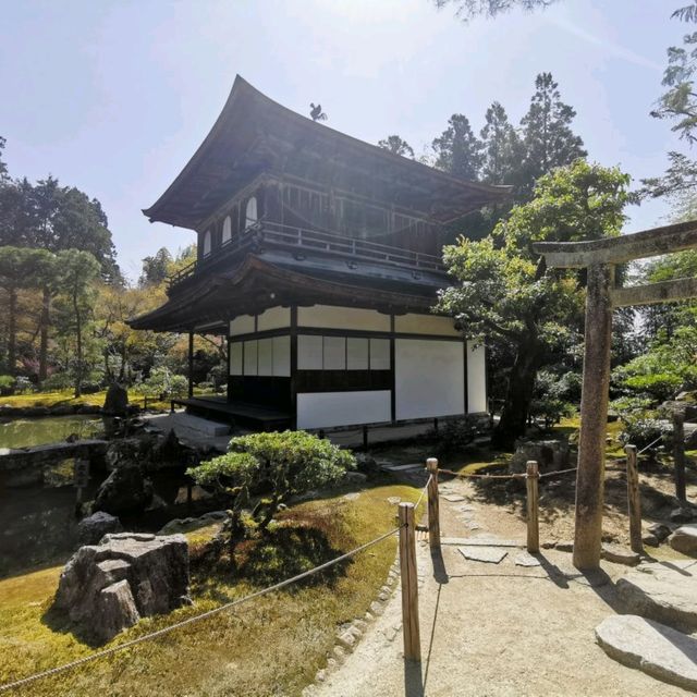 pretty Kyoto temple