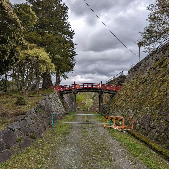 Sakura Serenade: Timeless Beauty in Morioka!