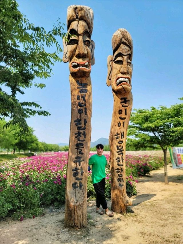 지금 만개한 작약꽃 즐기기! 합천 핫들생태공원🌺