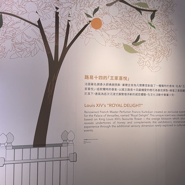 虛擬凡爾賽宮之旅👏🏻香港多媒體📻互動展覽‼️如同親歷其境❤️