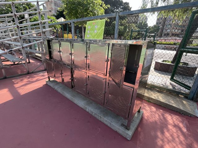 車來車往交通迴旋處旁邊嘅一個硬地足球場