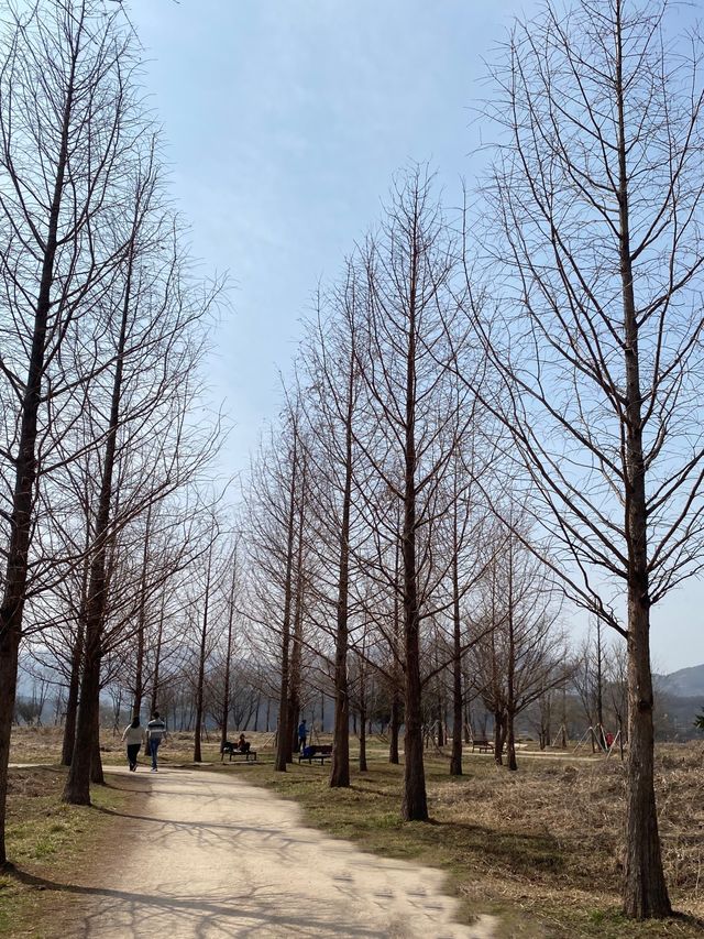 서울근교에서 한적한 곳을 찾는다면 양평 두물머리💜