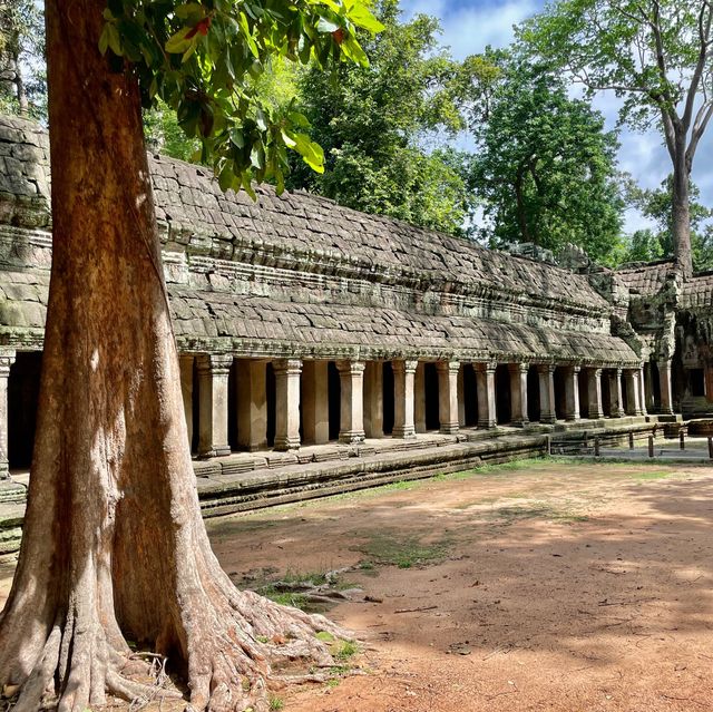 Why should we visit Ta Prohm?