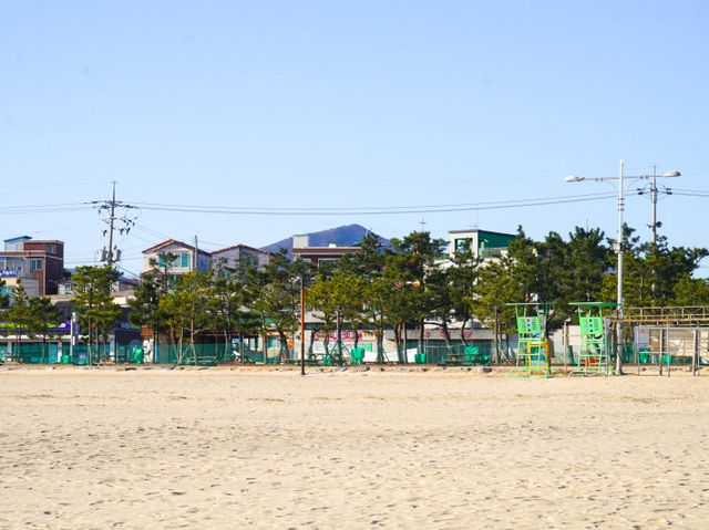 강원도 고성 인기 해수욕장 송지호해수욕장