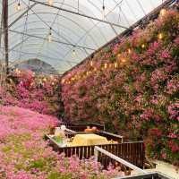 Floral Park: A Floral Fantasia in Cameron