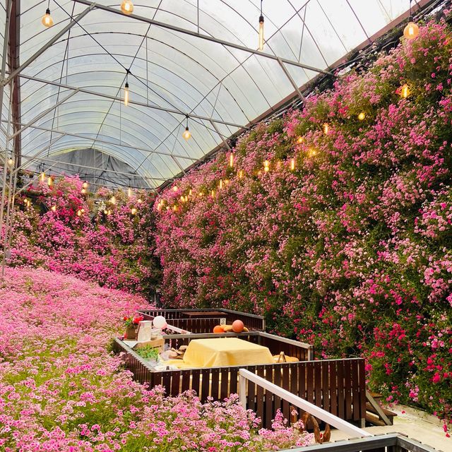 Floral Park: A Floral Fantasia in Cameron