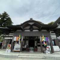 【静岡県】舘山寺を散策！