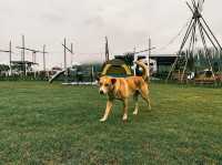 Camp Sa Ga Tra Suanphuengไปกางเต็นท์ที่สวนผึ้งกัน