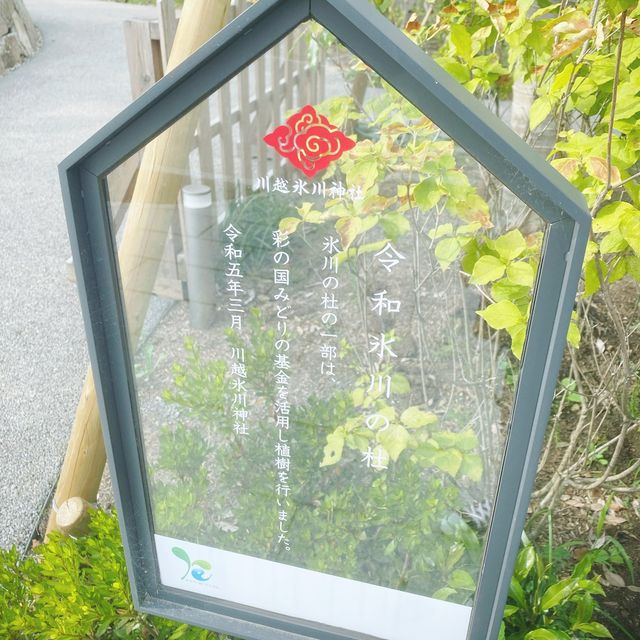 【埼玉県・川越】氷川神社　縁結び🎐🎐🎐　