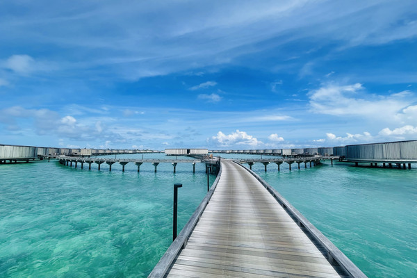 憧れのリッツカールトンモルディブへ!🏝️ | Trip.com Fari Islands 憧れのリッツカールトンモルディブへ!🏝️ | Trip.com Fari Islands