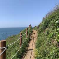 서우봉에서 보는 제주도 바다뷰 🏝️