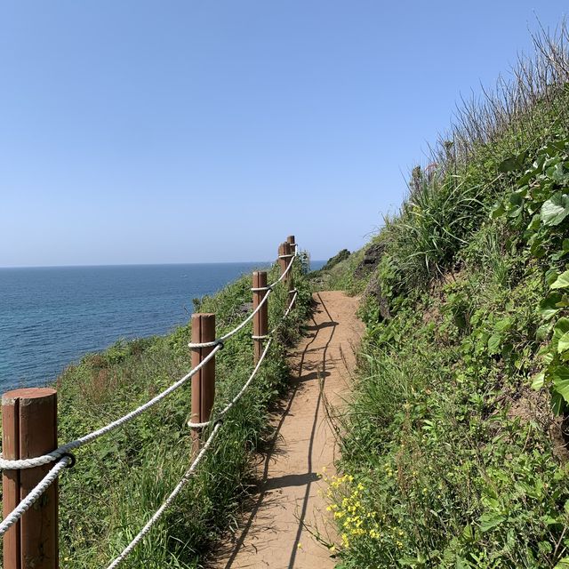 서우봉에서 보는 제주도 바다뷰 🏝️