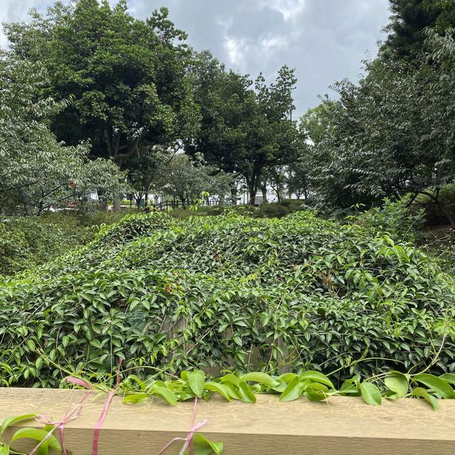 莒光環保公園🐕