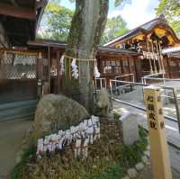 よく見たら伊之助が…　猪の護王神社