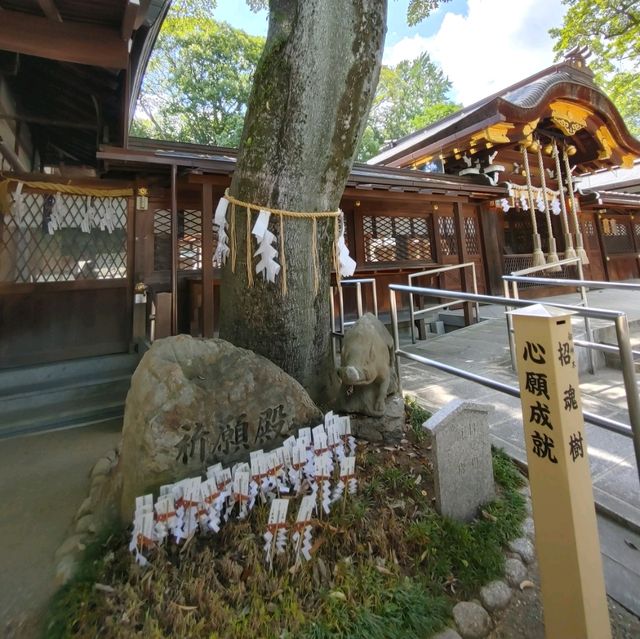 よく見たら伊之助が…　猪の護王神社