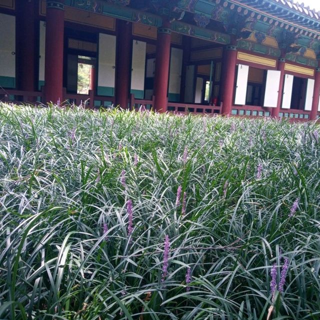 아 경상감영공원.. 달구벌에 불볕더위를 걷다..