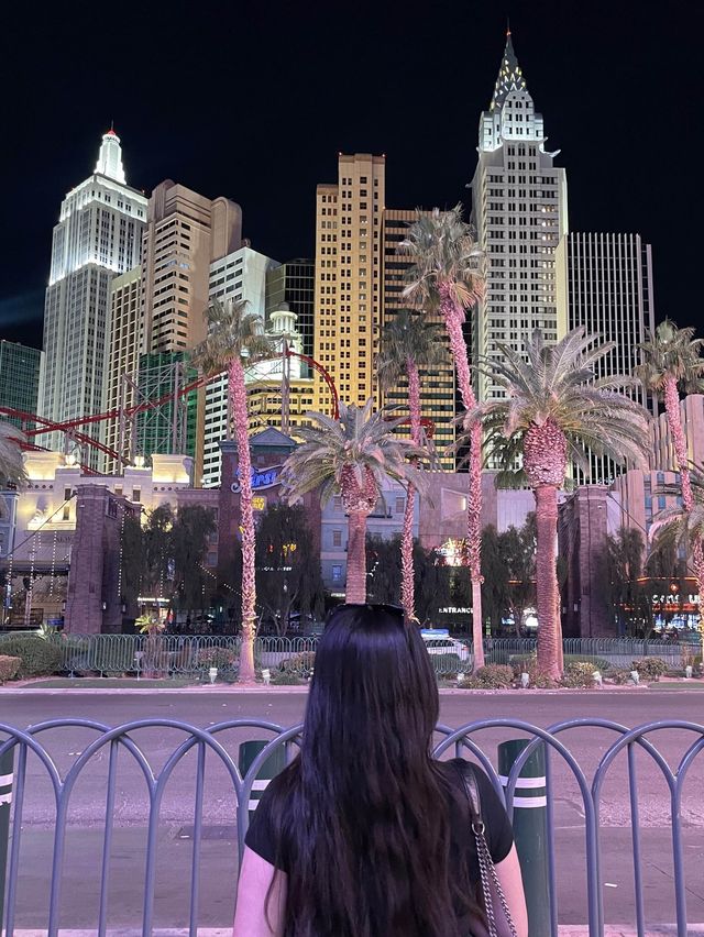 🇺🇸낮부터 밤까지 활기찬 카지노 천국 “Las Vegas”의 야경투어🎢