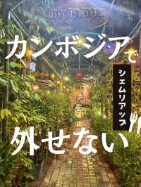 【カンボジア】シェムリアップでお洒落ディナーなら絶対ココ！コスパも最強な映えイタリアン！