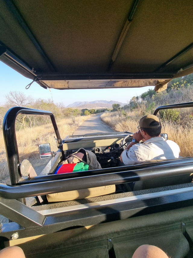 The Safari Drive At Pilanesberg National Park