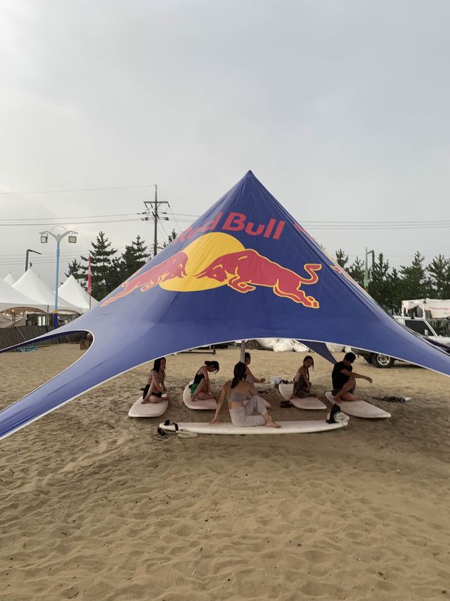 양양 양양하면 바로 가장 핫한 서피비치🌊🏄‍♀️ [양양_서피비치]