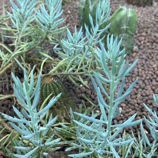 台北圓山站休閑一日遊🌿🌵適合夏日親子遊
