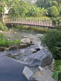 Kingfisher Lake At Gardens By The Bay