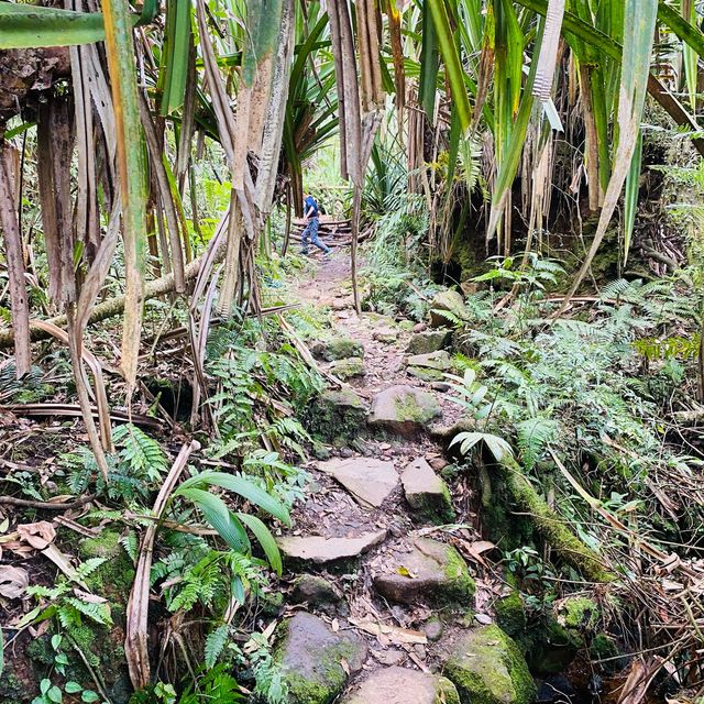 Taman Nasional Halimun Salak 