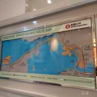 A place where aircraft regularly take off and land