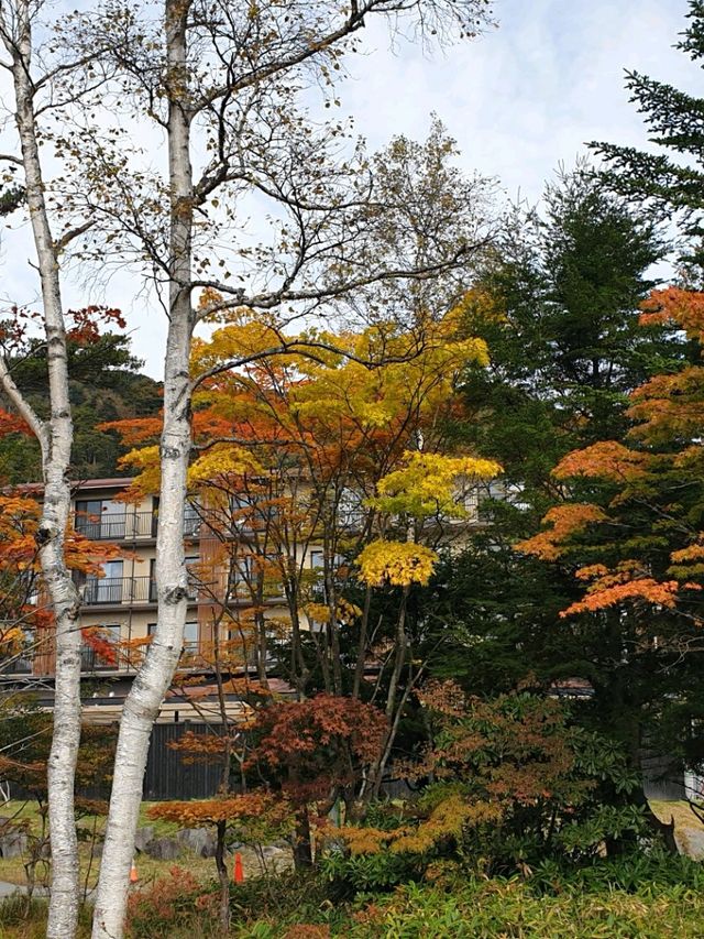 주젠지코,센조가하라트레킹 15km