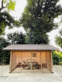 【神奈川県/星川杉山神社】地元密着！高台にある心優しい神社