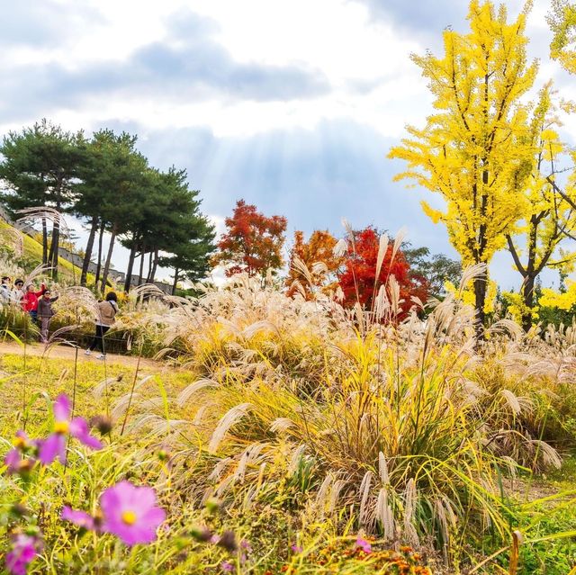 Beautiful Autumn Of Suwon Hwaseong Fortress 