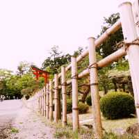 Exploring Nikko World Heritage in Japan
