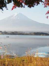 【山梨】紅葉×富士山　一度は見てみたい秋の美しい景色